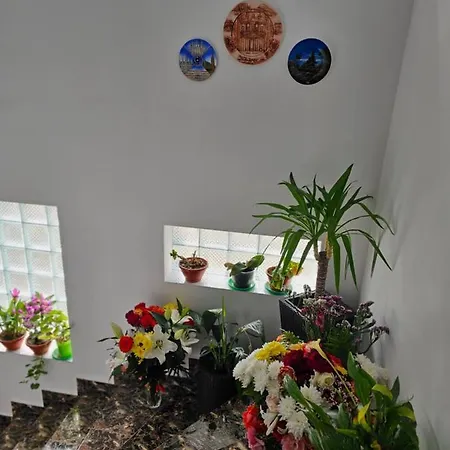 Gæstehus Casa Laur 3*