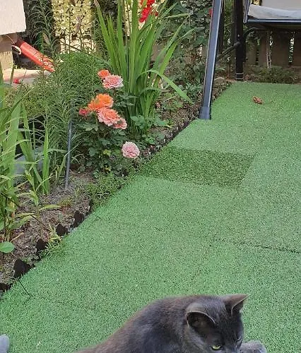 בית הארחה Casa Laur סולינה