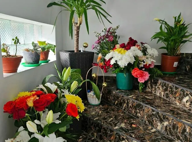 Guest house Casa Laur Sulina