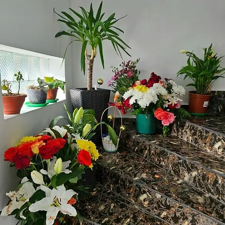 Vendégház Casa Laur Sulina